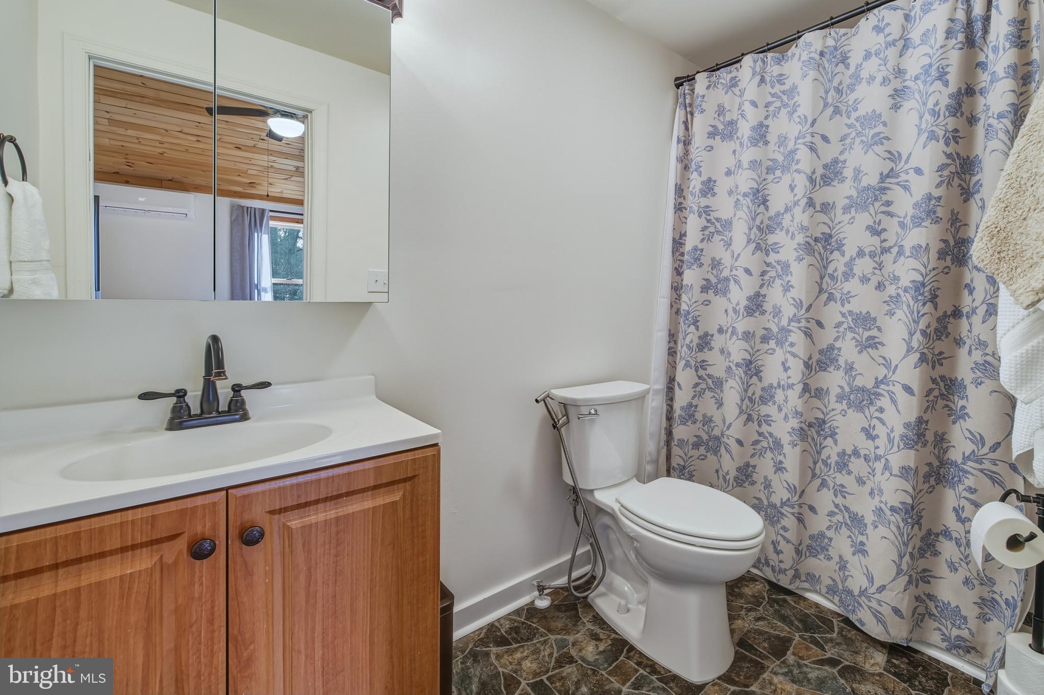 151 Patrick Lane Mount Jackson, VA 22842 - Photo 22 of 55 Primary Bath