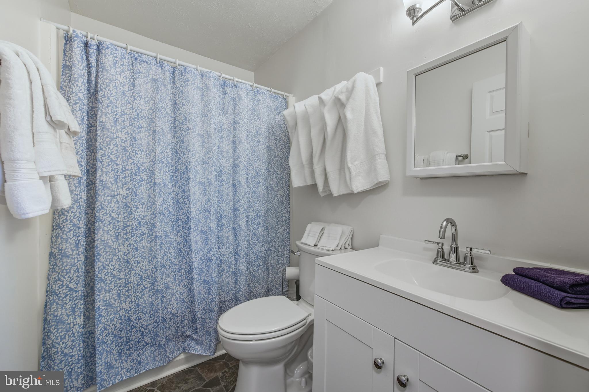 151 Patrick Lane Mount Jackson, VA 22842 - Photo 26 of 55 Full Bath