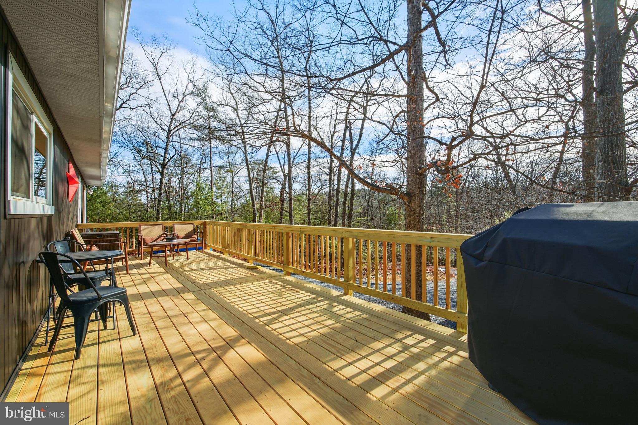 151 Patrick Lane Mount Jackson, VA 22842 - Photo 3 of 55 Large Deck to enjoy the out doors