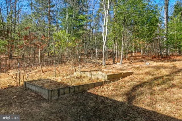 $279,998 | 151 Patrick Lane, Mount Jackson, VA 22842