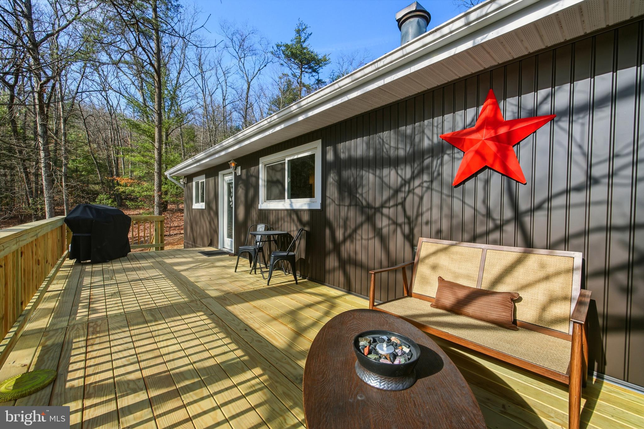 151 Patrick Lane Mount Jackson, VA 22842 - Photo 40 of 55 Front