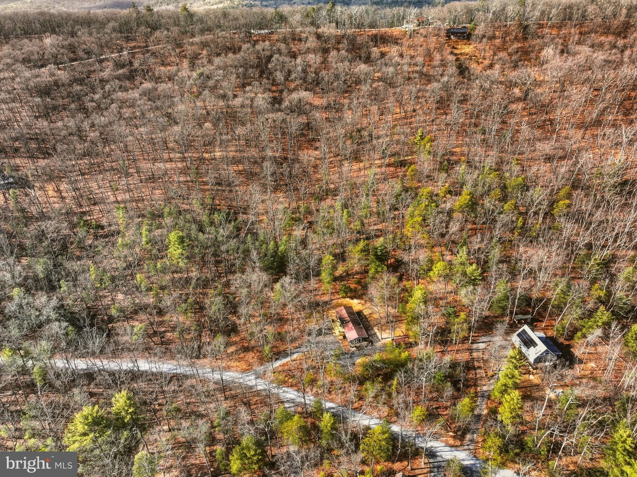 151 Patrick Lane Mount Jackson, VA 22842 - Photo 45 of 55