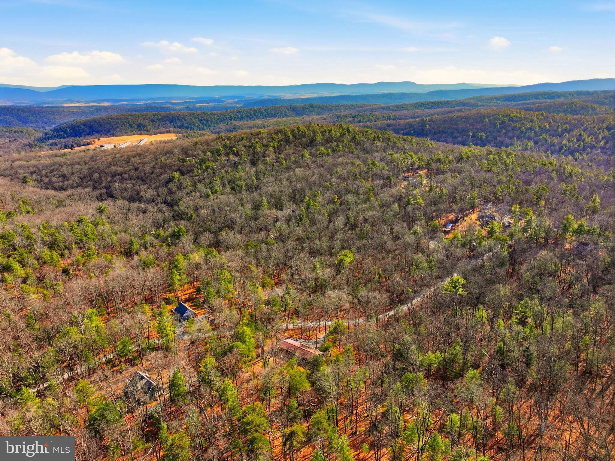 151 Patrick Lane Mount Jackson, VA 22842 - Photo 46 of 55
