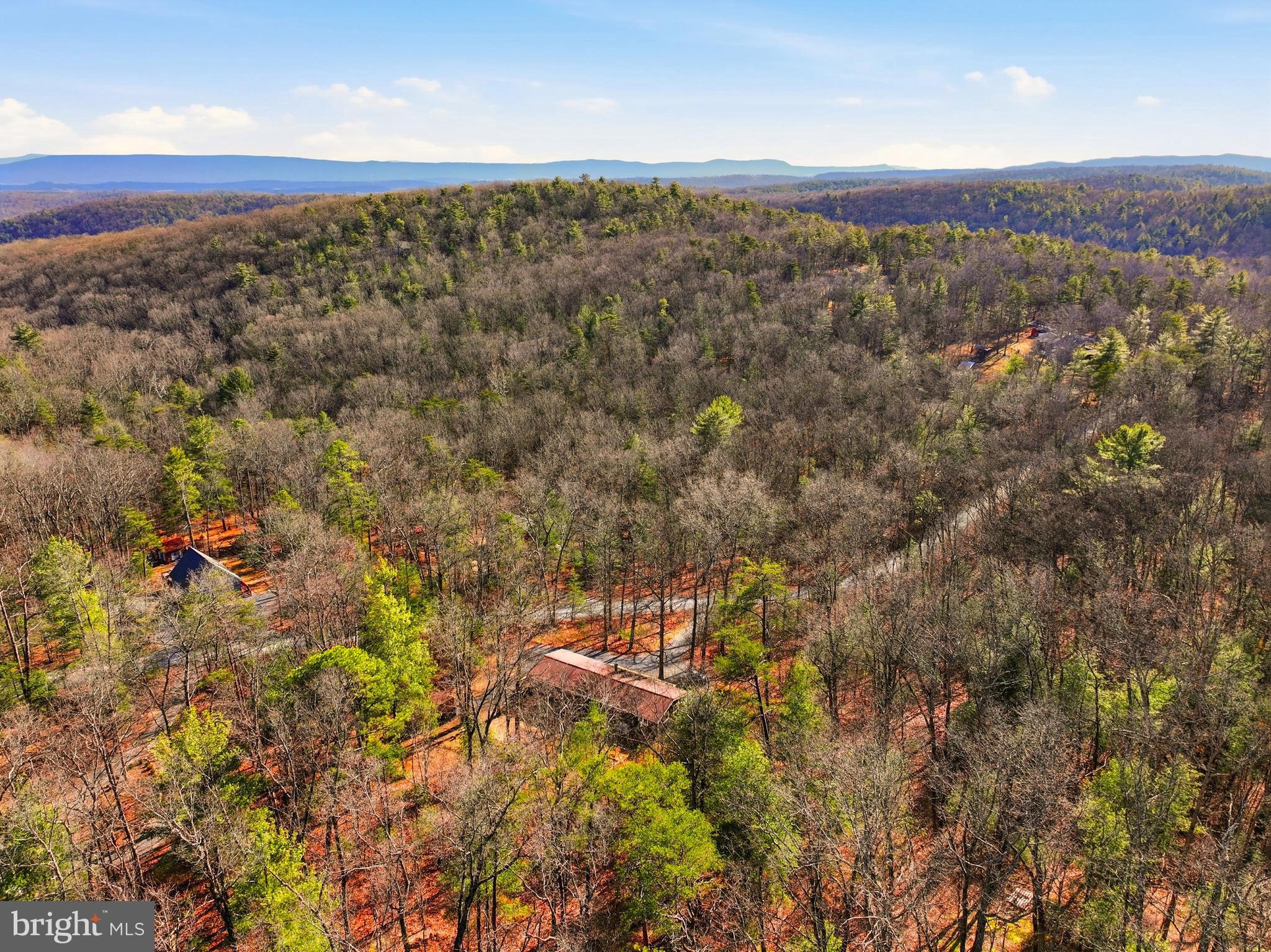 151 Patrick Lane Mount Jackson, VA 22842 - Photo 47 of 55