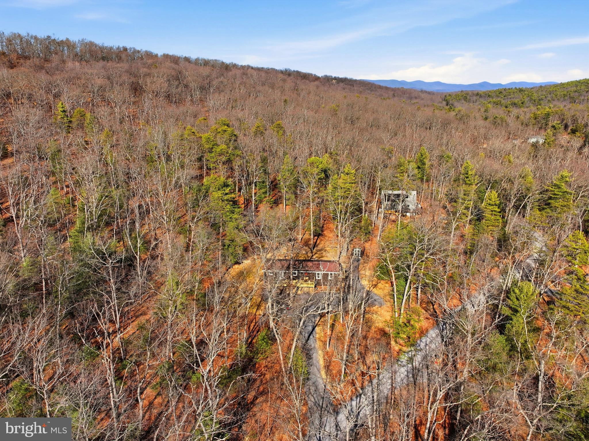 151 Patrick Lane Mount Jackson, VA 22842 - Photo 48 of 55