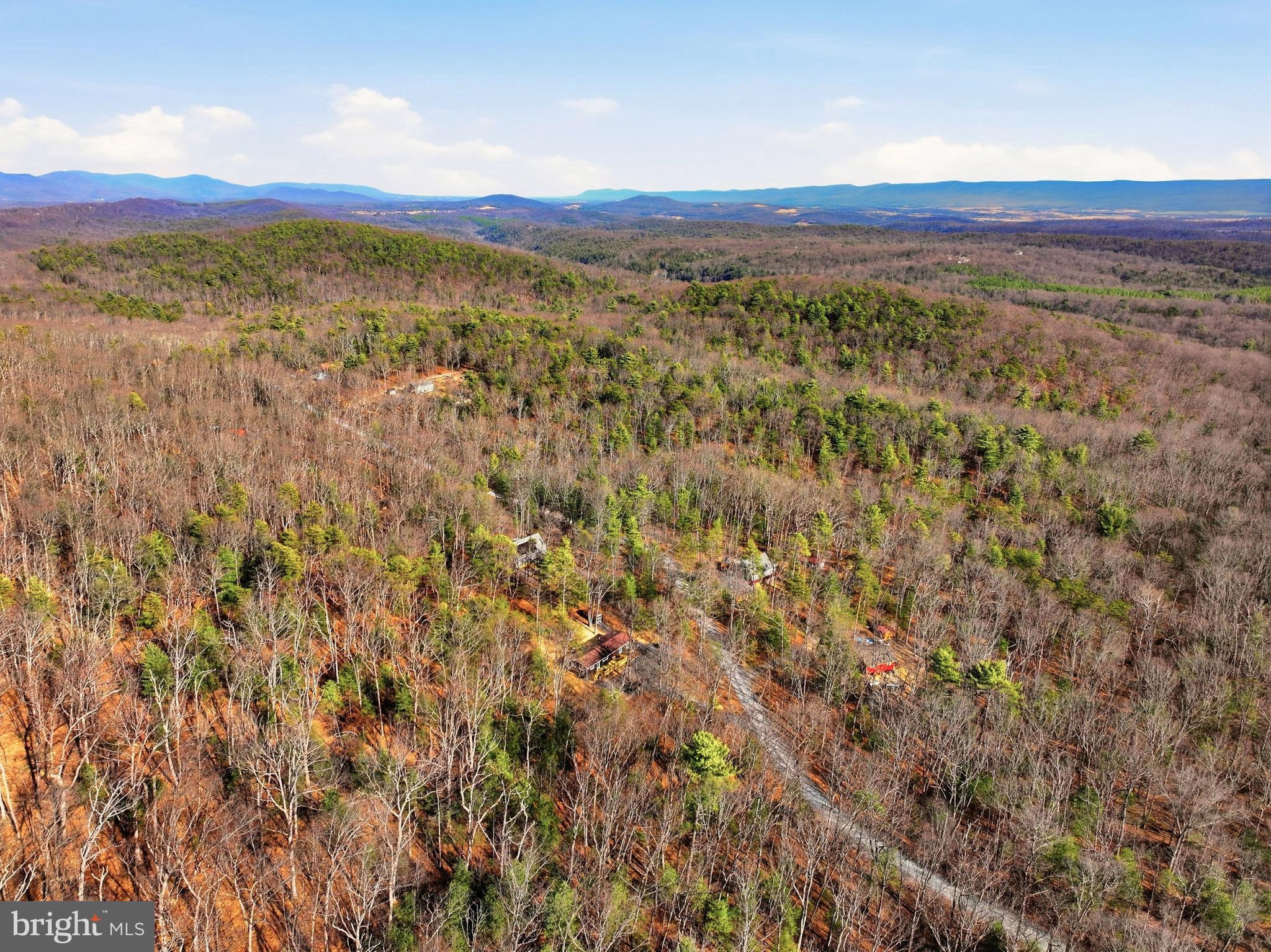 151 Patrick Lane Mount Jackson, VA 22842 - Photo 49 of 55