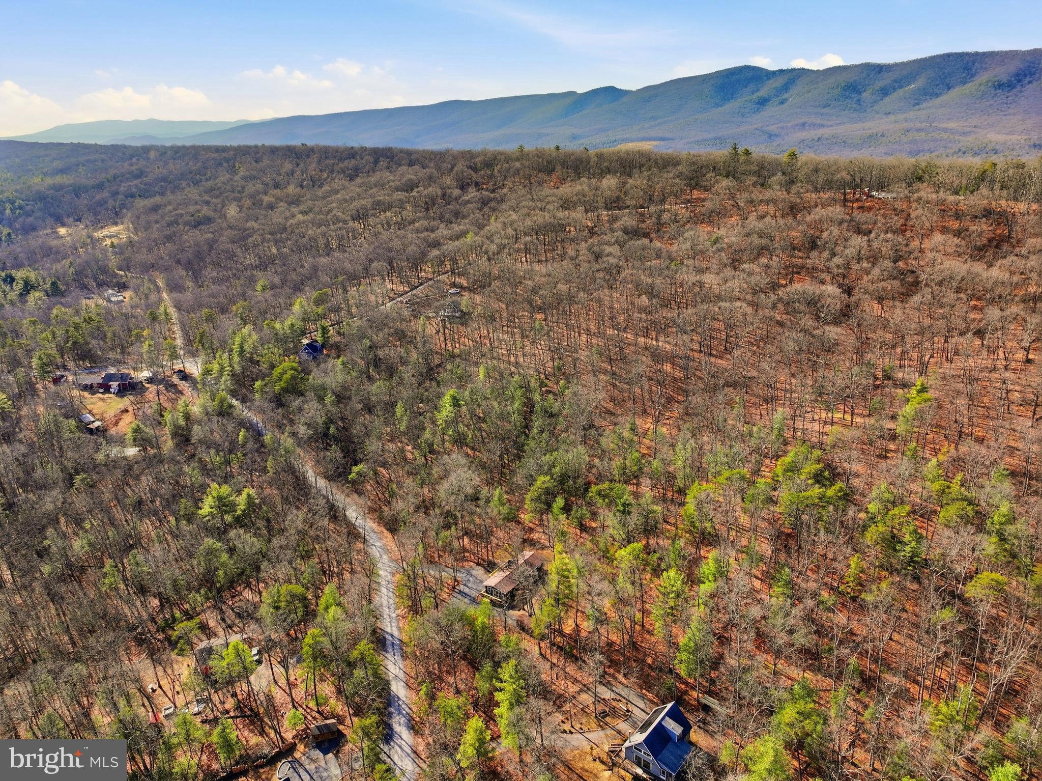 151 Patrick Lane Mount Jackson, VA 22842 - Photo 50 of 55