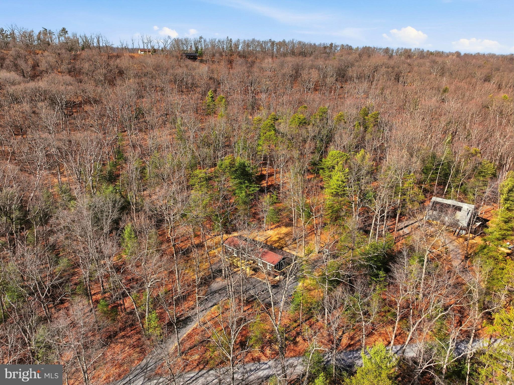 151 Patrick Lane Mount Jackson, VA 22842 - Photo 51 of 55