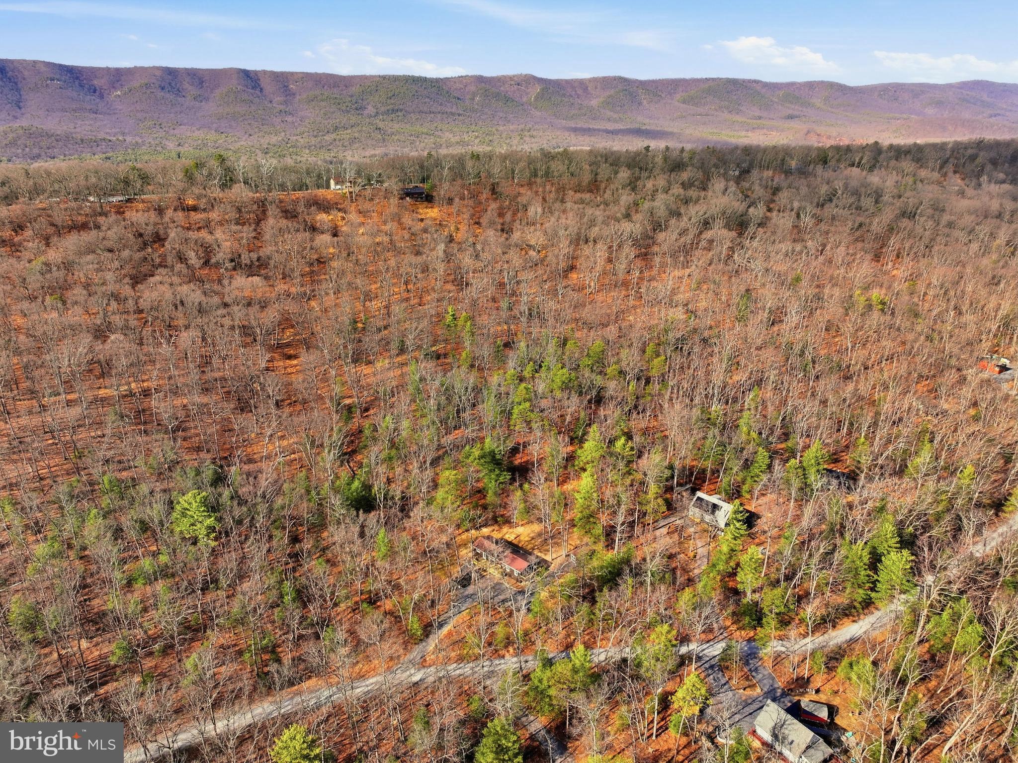 151 Patrick Lane Mount Jackson, VA 22842 - Photo 52 of 55