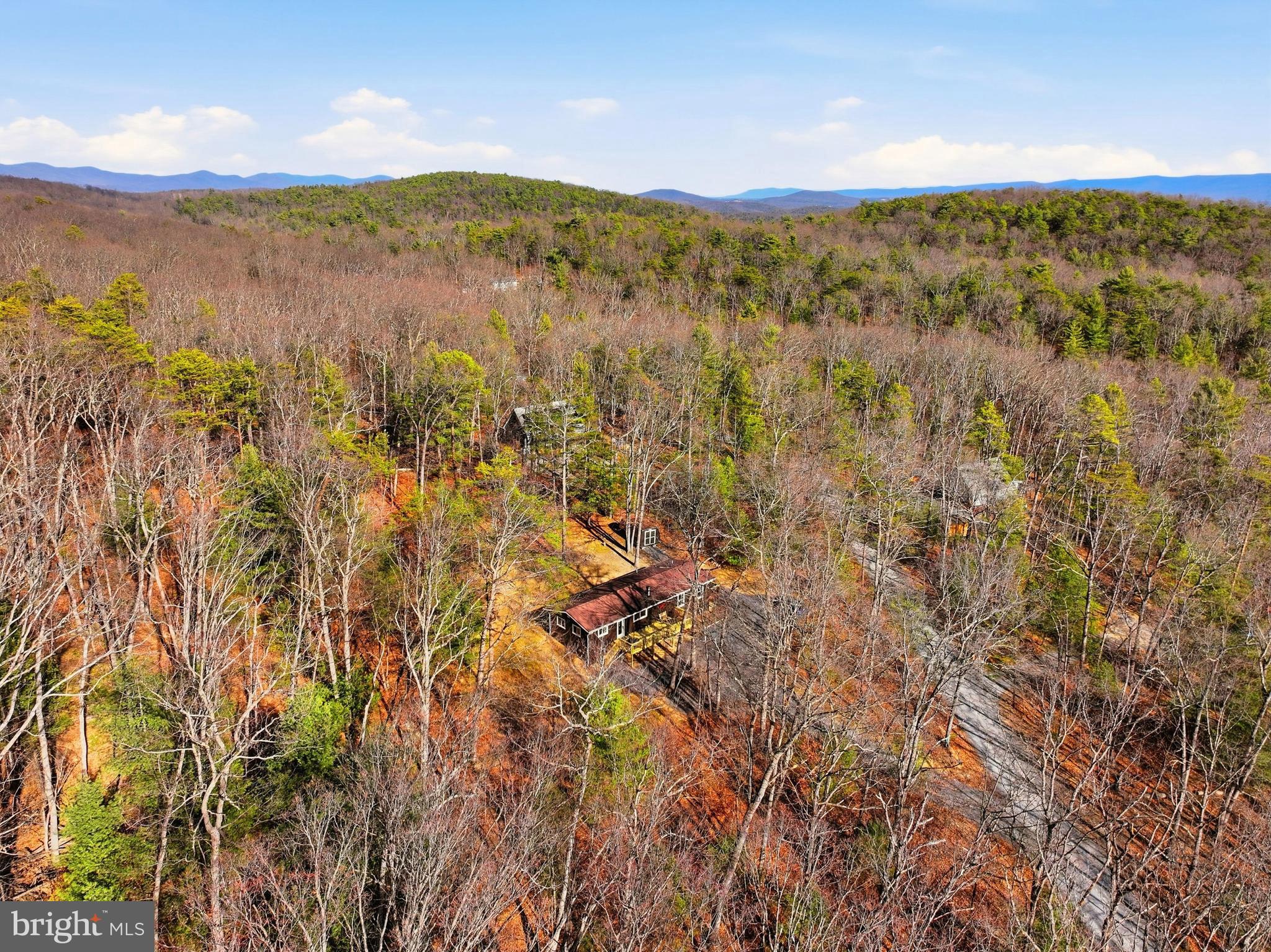 151 Patrick Lane Mount Jackson, VA 22842 - Photo 53 of 55