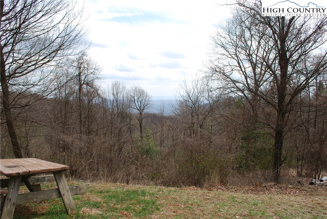 238 Misty Ridge Road Millers Creek, NC 28651 - Photo 16 of 22 a view of a backyard with plants and trees