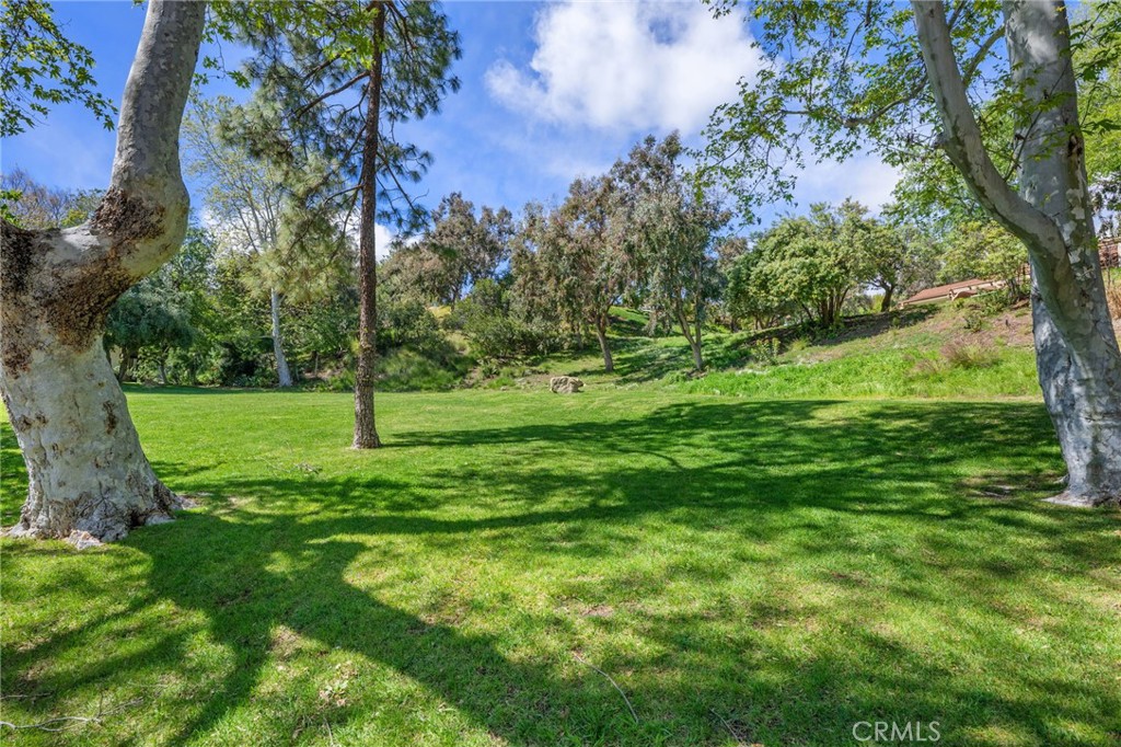 10179 Larwin Avenue, Unit 5 Chatsworth, CA 91311 - Photo 24 of 53 a view of a park with large trees