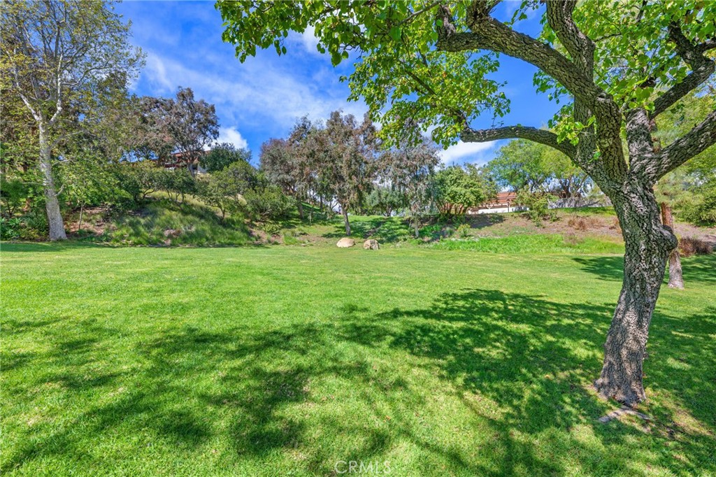 10179 Larwin Avenue, Unit 5 Chatsworth, CA 91311 - Photo 37 of 53 a backyard of a house with lots of green space