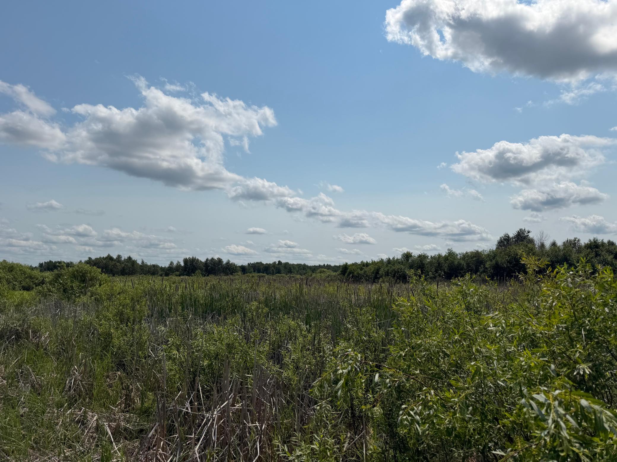 Tbd Bunny Hill Road Sebeka, MN 56477 - Photo 18 of 23