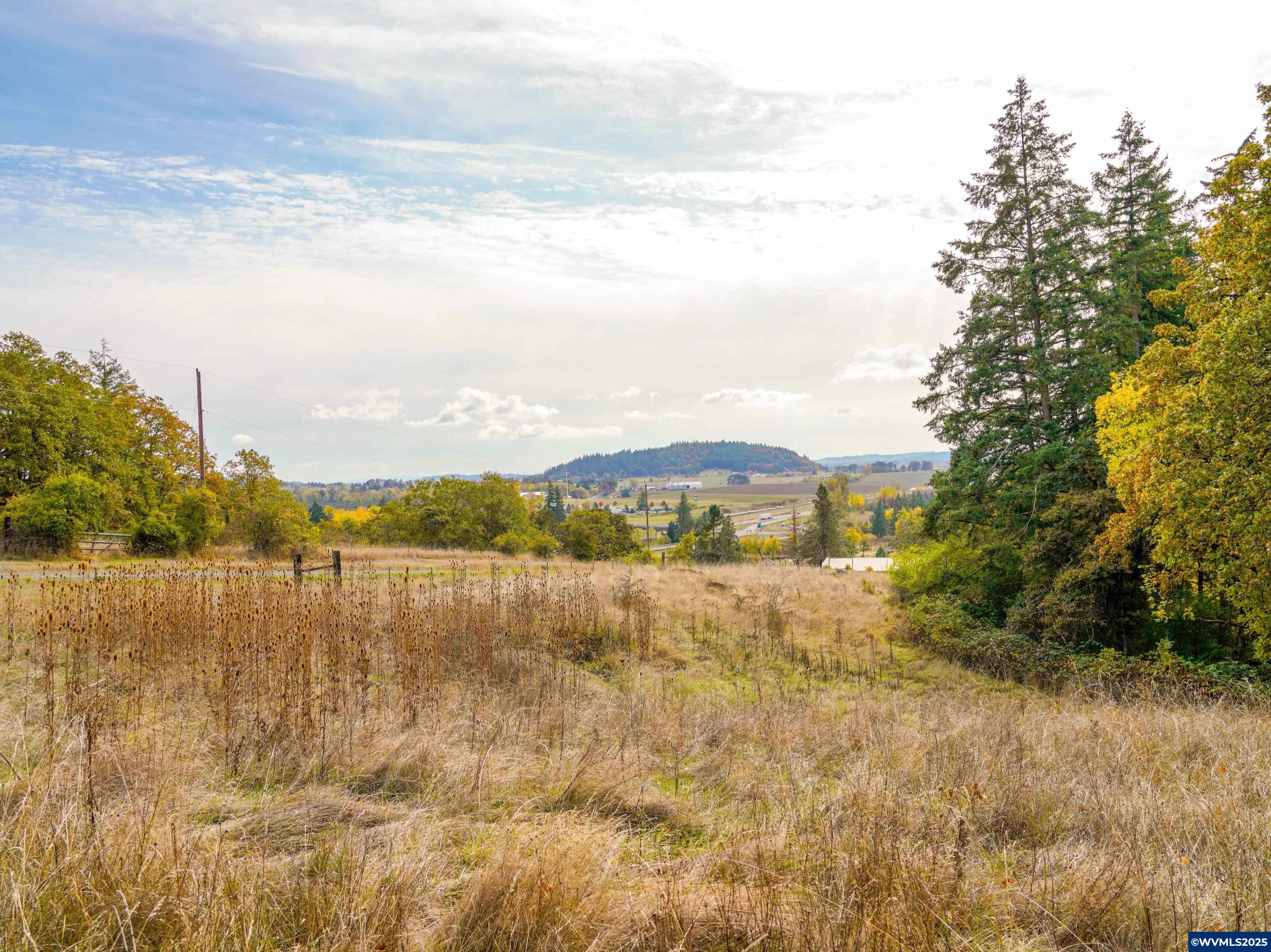 10865 Southview Loop Southeast Jefferson, OR 97352 - Photo 4 of 17