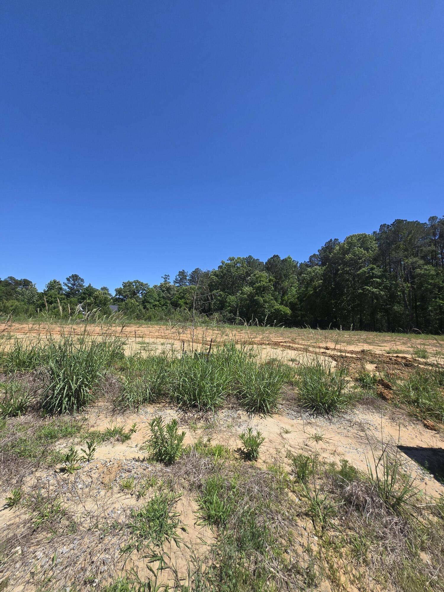 1212 Carriage Wood Circle Ridgeville, SC 29472 - Photo 11 of 11 1000028462