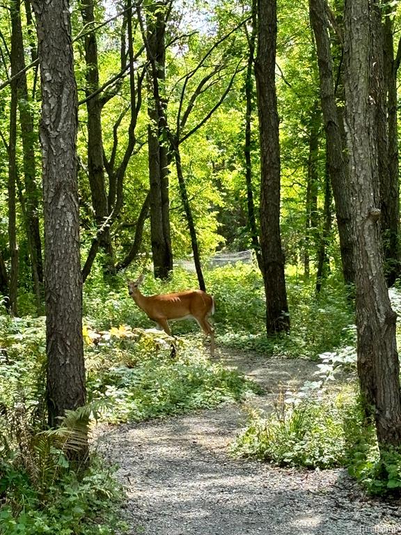 2137 Covert Road Burton, MI 48509 - Photo 24 of 25