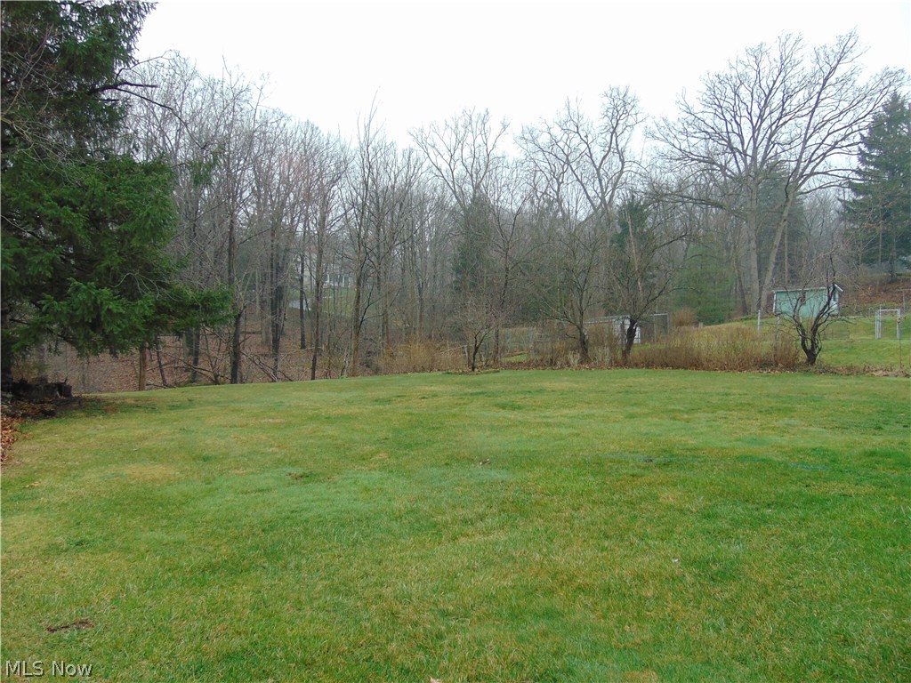 5000 East Pleasant Valley Road Independence, OH 44131 - Photo 27 of 28 The backyard
