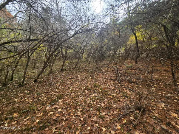 $199,500 | 359 Creek Road, Hope, NY 12134