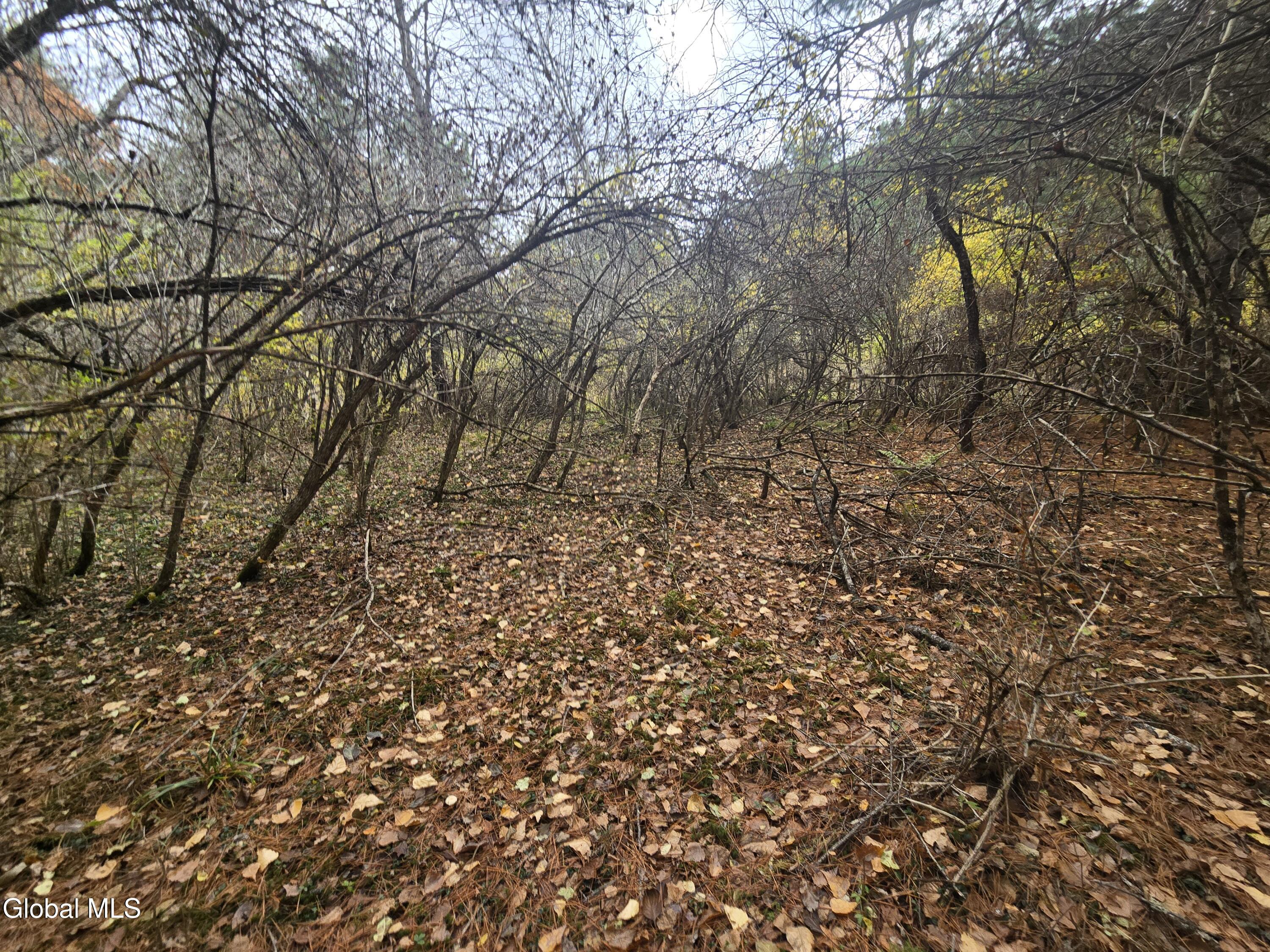 359 Creek Road Hope, NY 12134 - Photo 11 of 12 1000032155