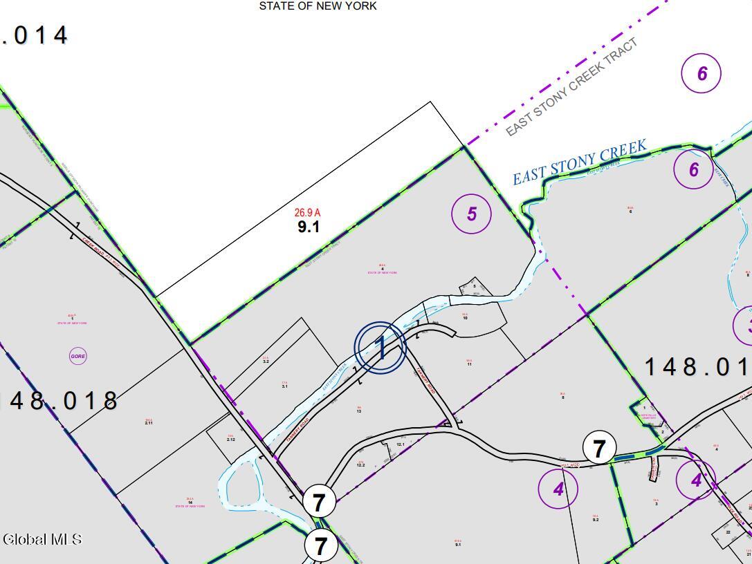 359 Creek Road Hope, NY 12134 - Photo 4 of 12 Lot 9.1 is this listing