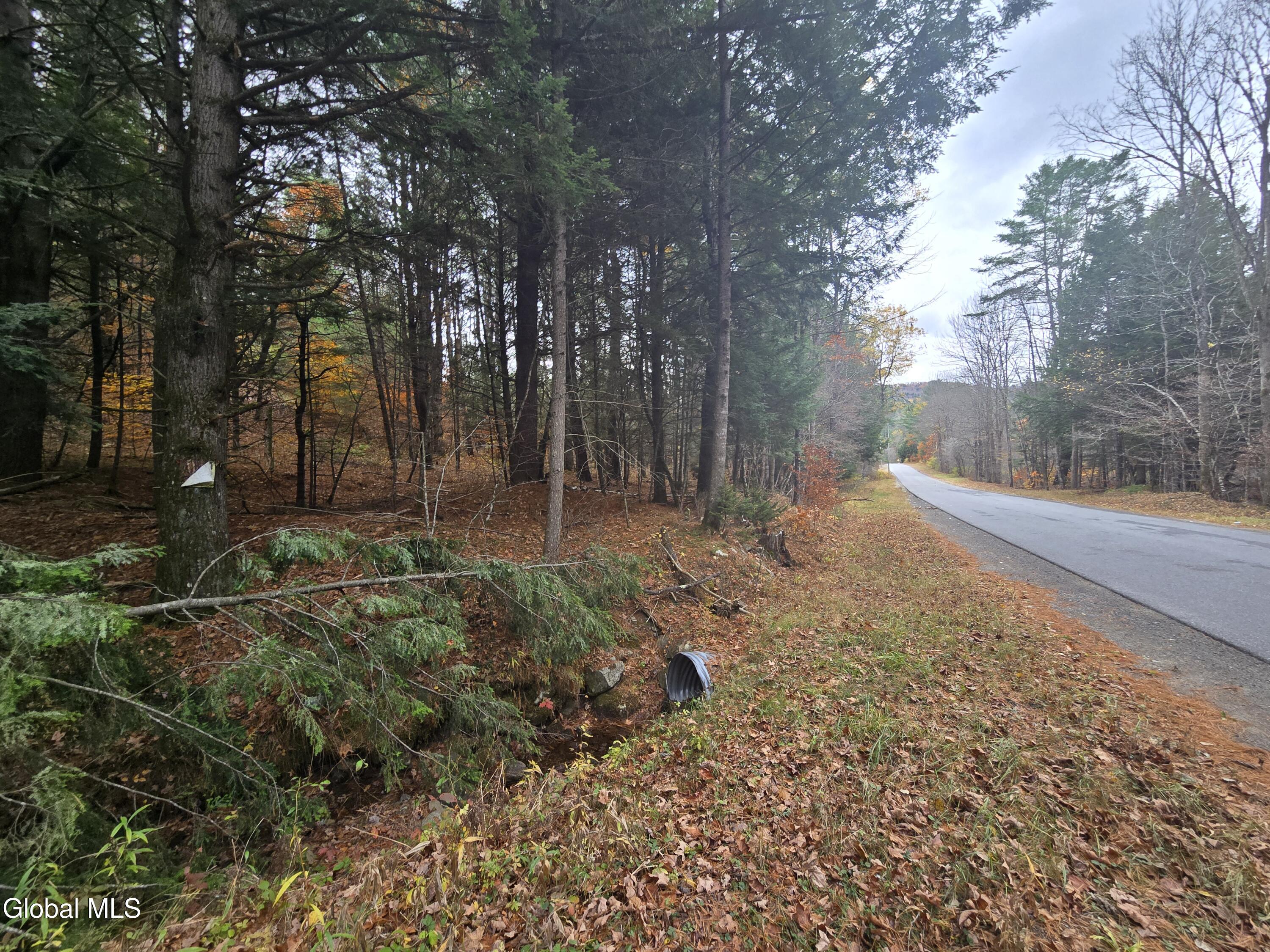 359 Creek Road Hope, NY 12134 - Photo 5 of 12 1000032136