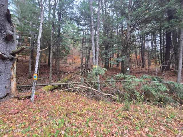 $199,500 | 359 Creek Road, Hope, NY 12134