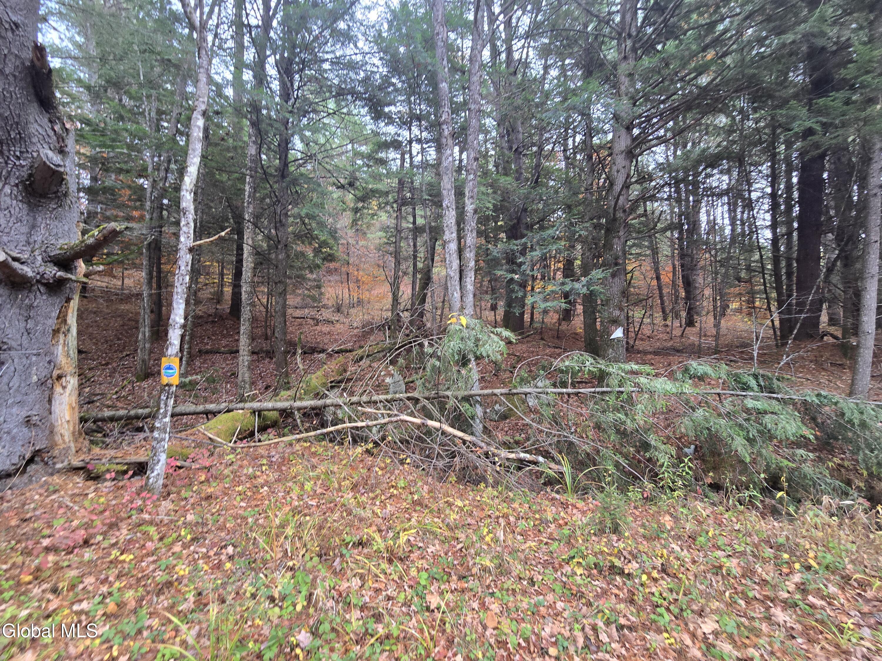 359 Creek Road Hope, NY 12134 - Photo 6 of 12 1000032135