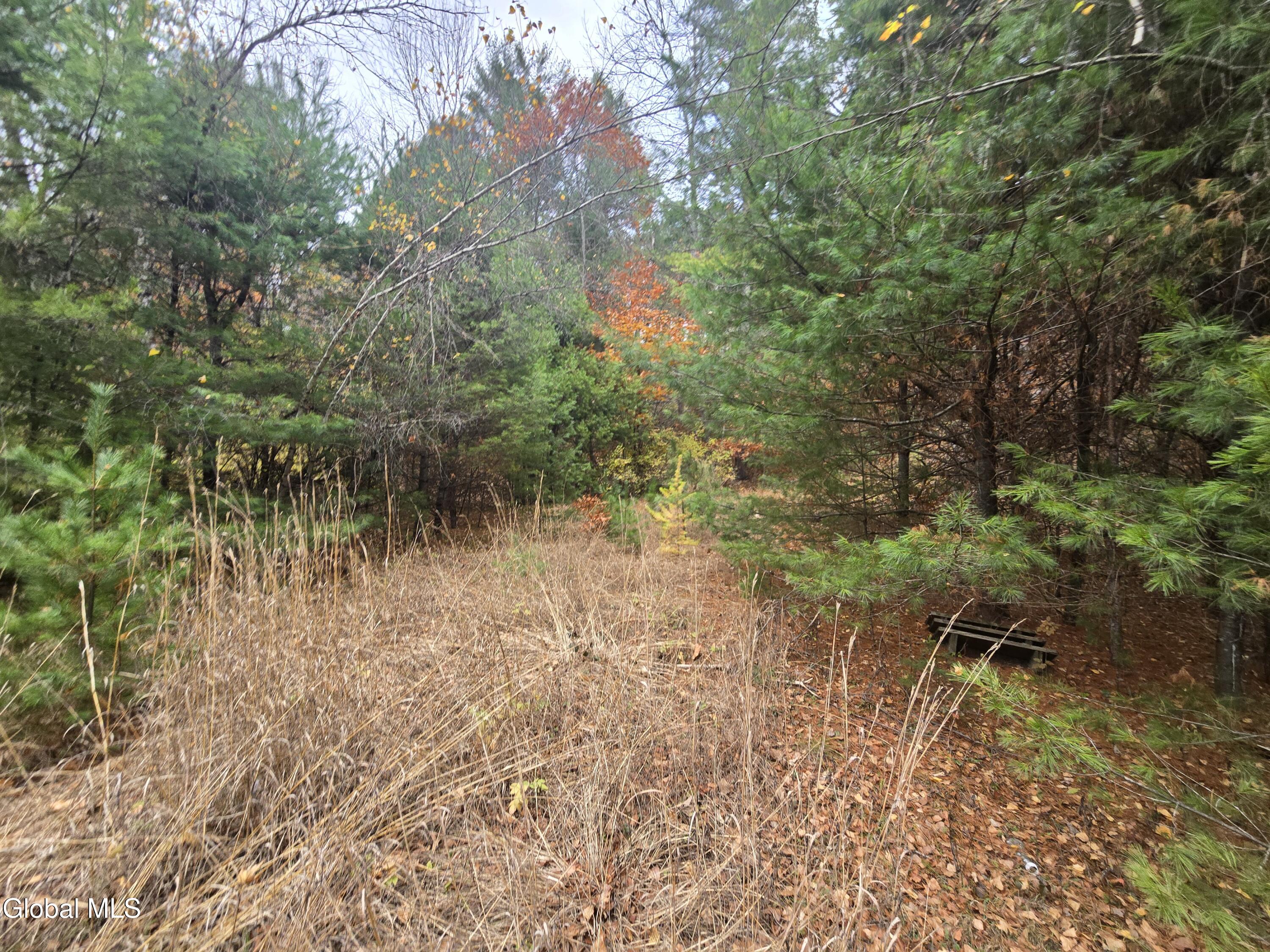 359 Creek Road Hope, NY 12134 - Photo 8 of 12 1000032153