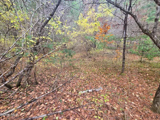 $199,500 | 359 Creek Road, Hope, NY 12134