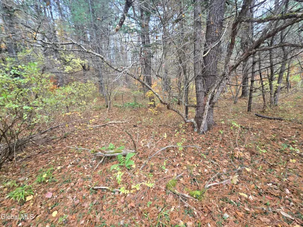 $199,500 | 359 Creek Road, Hope, NY 12134