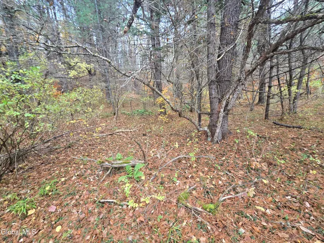 $199,500 | 359 Creek Road, Hope, NY 12134