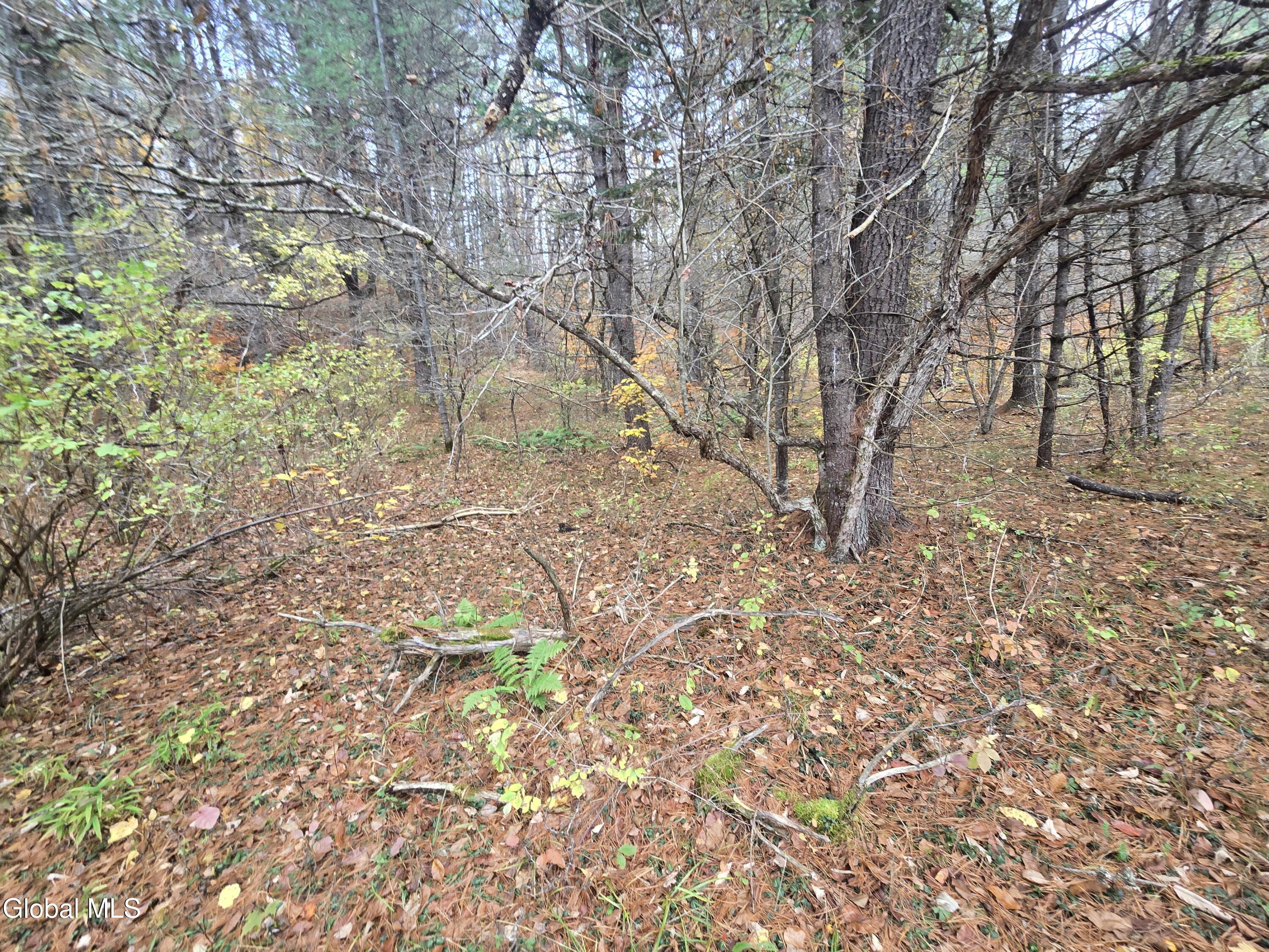 359 Creek Road Hope, NY 12134 - Photo 10 of 12 1000032156