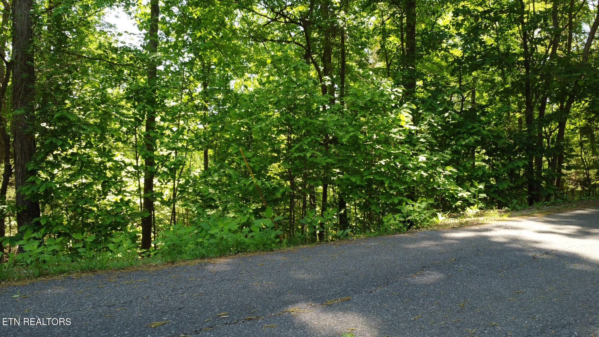 Deer Run Point, Unit 4B La Follette, TN 37766 - Photo 1 of 18 Kitching street