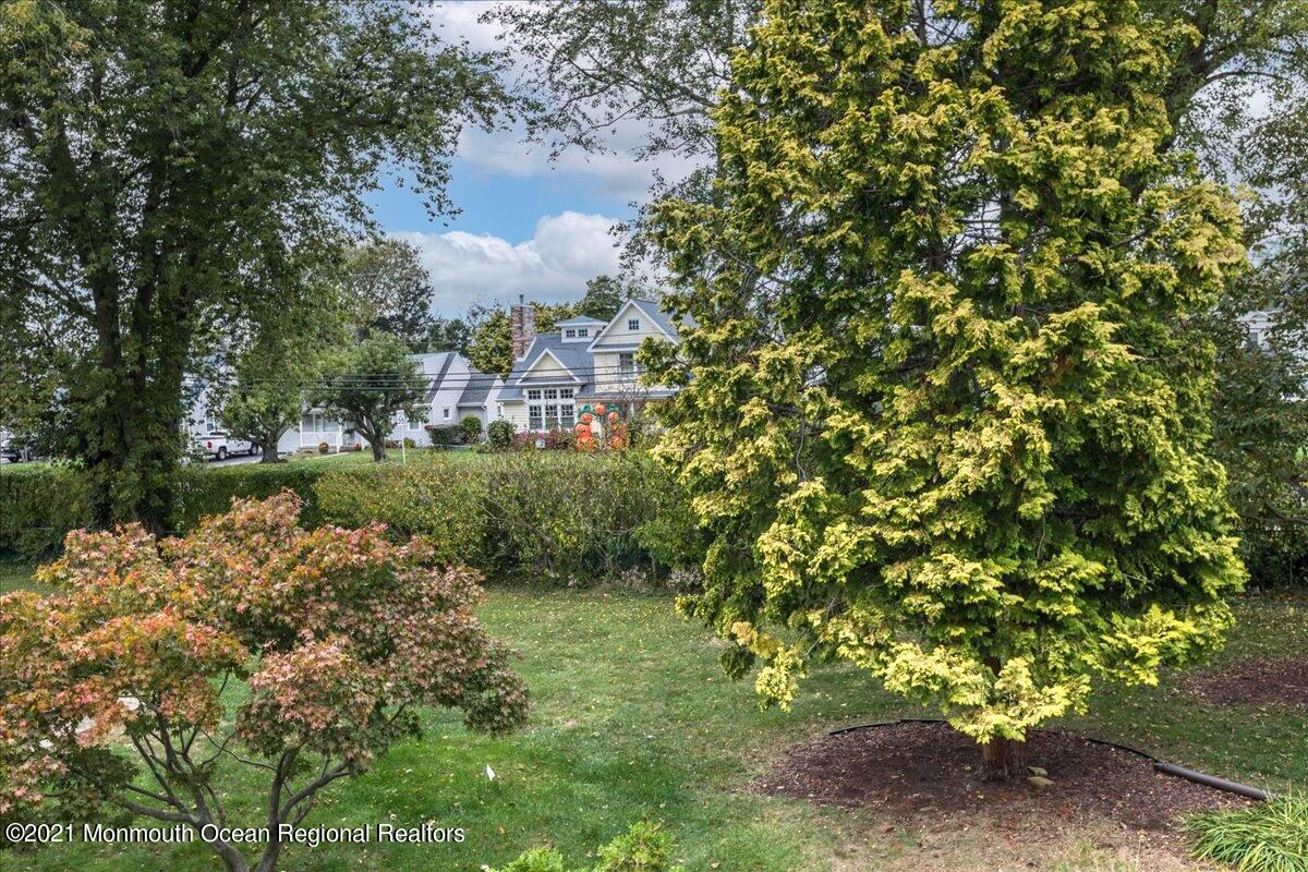 121 Walnut Drive Spring Lake Heights, NJ 07762 - Photo 26 of 44 a view of a yard with plants and a bench