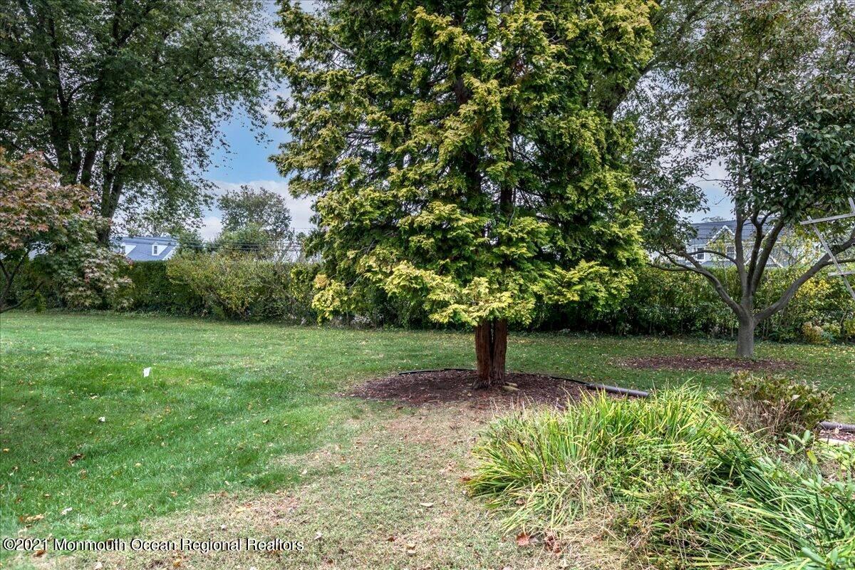 121 Walnut Drive Spring Lake Heights, NJ 07762 - Photo 33 of 44 a view of a yard with a tree