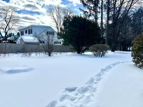 a street view covered with snow