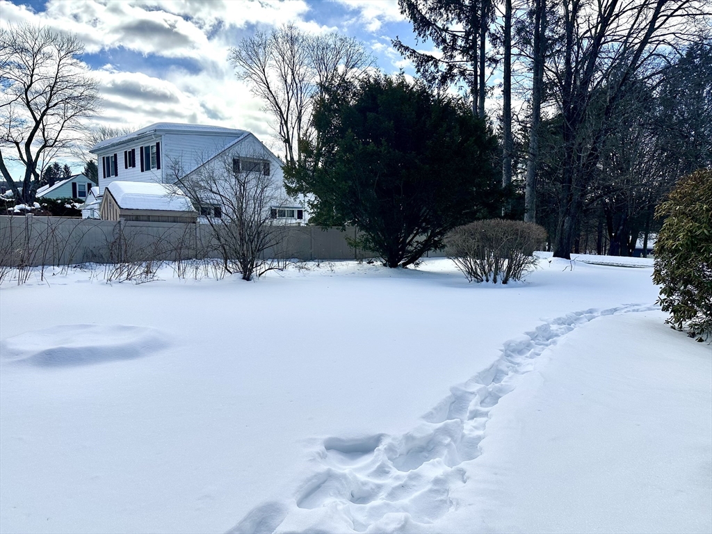 310 Palmer Road Ware, MA 01082 - Photo 15 of 16 a street view covered with snow