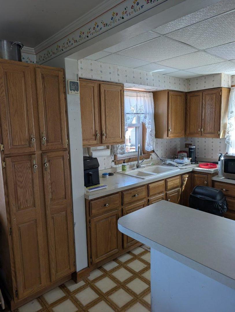 1673 Linden Street Des Plaines, IL 60018 - Photo 8 of 9 a kitchen with a sink cabinets and window