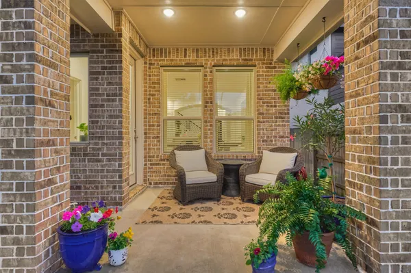 a outdoor space with plants