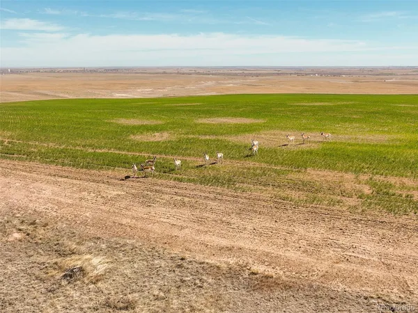 $2,240,000 | East Quincy Avenue, Strasburg, CO 80136