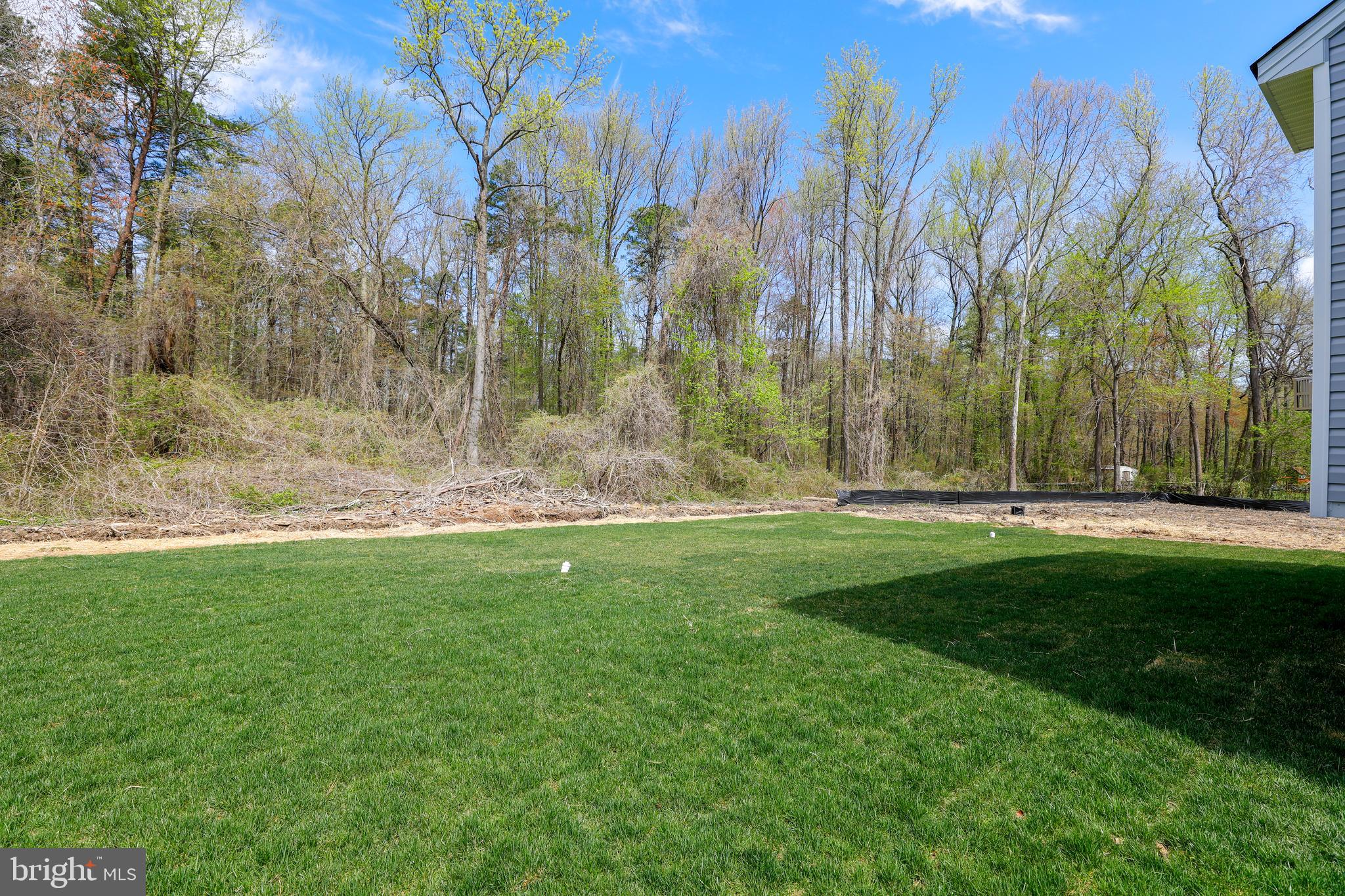 638 Powhatan Beach Road Pasadena, MD 21122 - Photo 4 of 32 Gallery Image 4