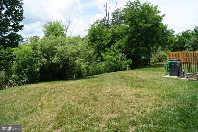 35 Driver Square Front Royal, VA 22630 - Photo 5 of 21 Private Rear Yard