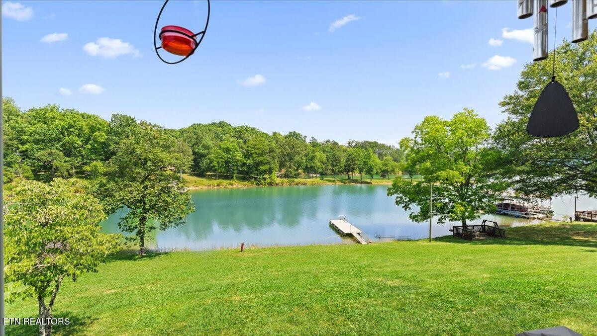 915 Smokey Mountain Queen Road Sevierville, TN 37876 - Photo 27 of 48 Gallery Image 27