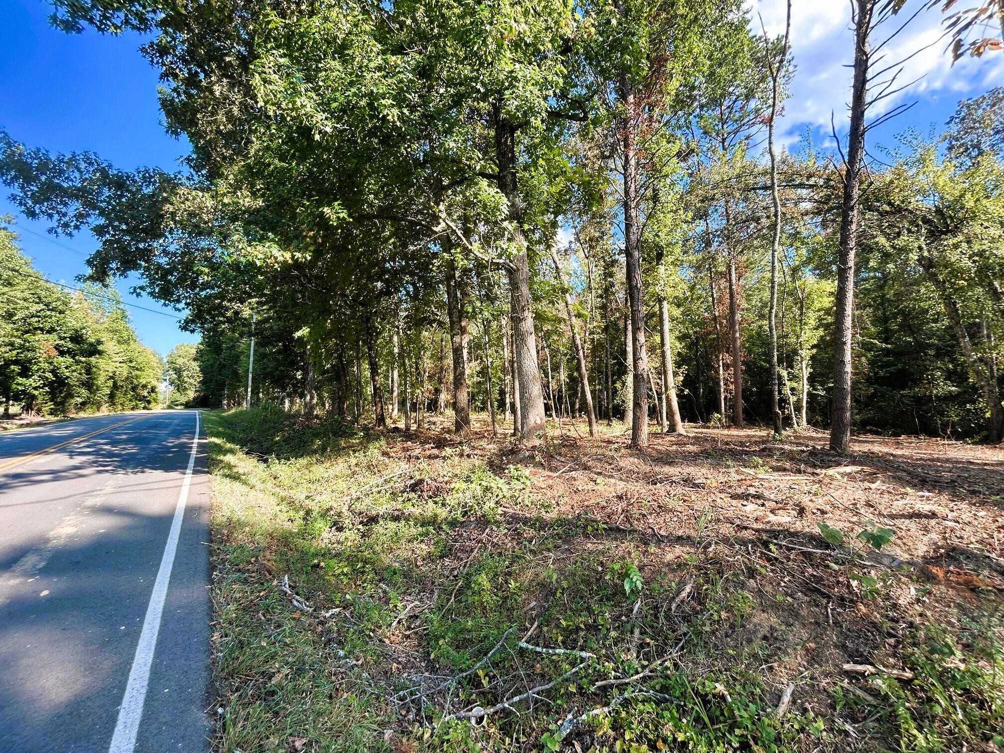 2 Pleasant Hill Road Ten Mile, TN 37880 - Photo 9 of 15