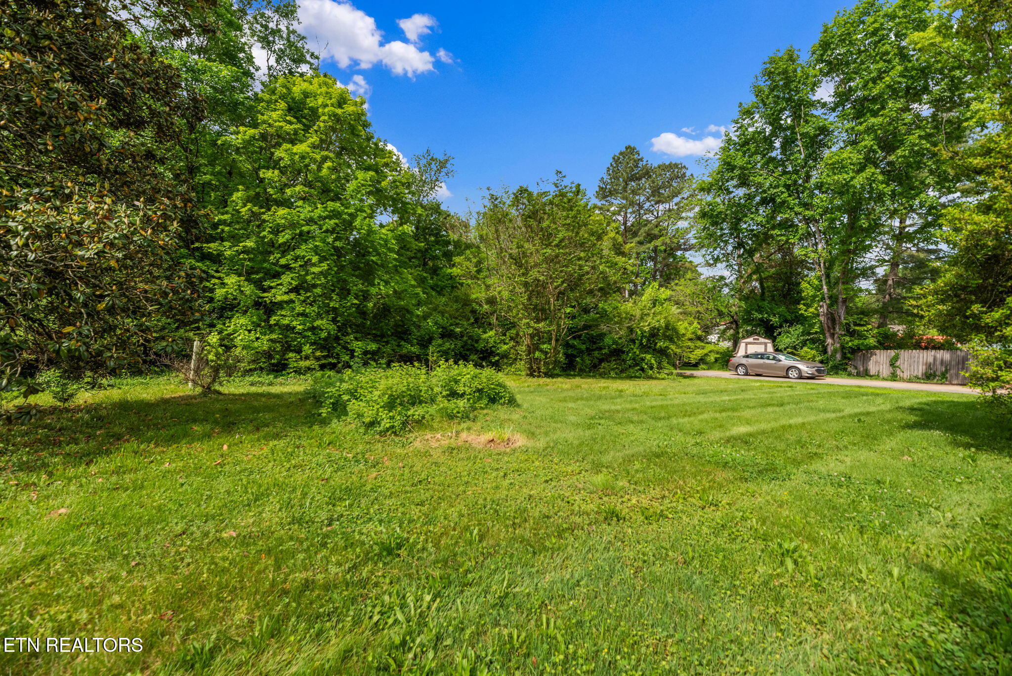 6109 Magazine Road Knoxville, TN 37920 - Photo 27 of 30 27 Level-ish Backyard