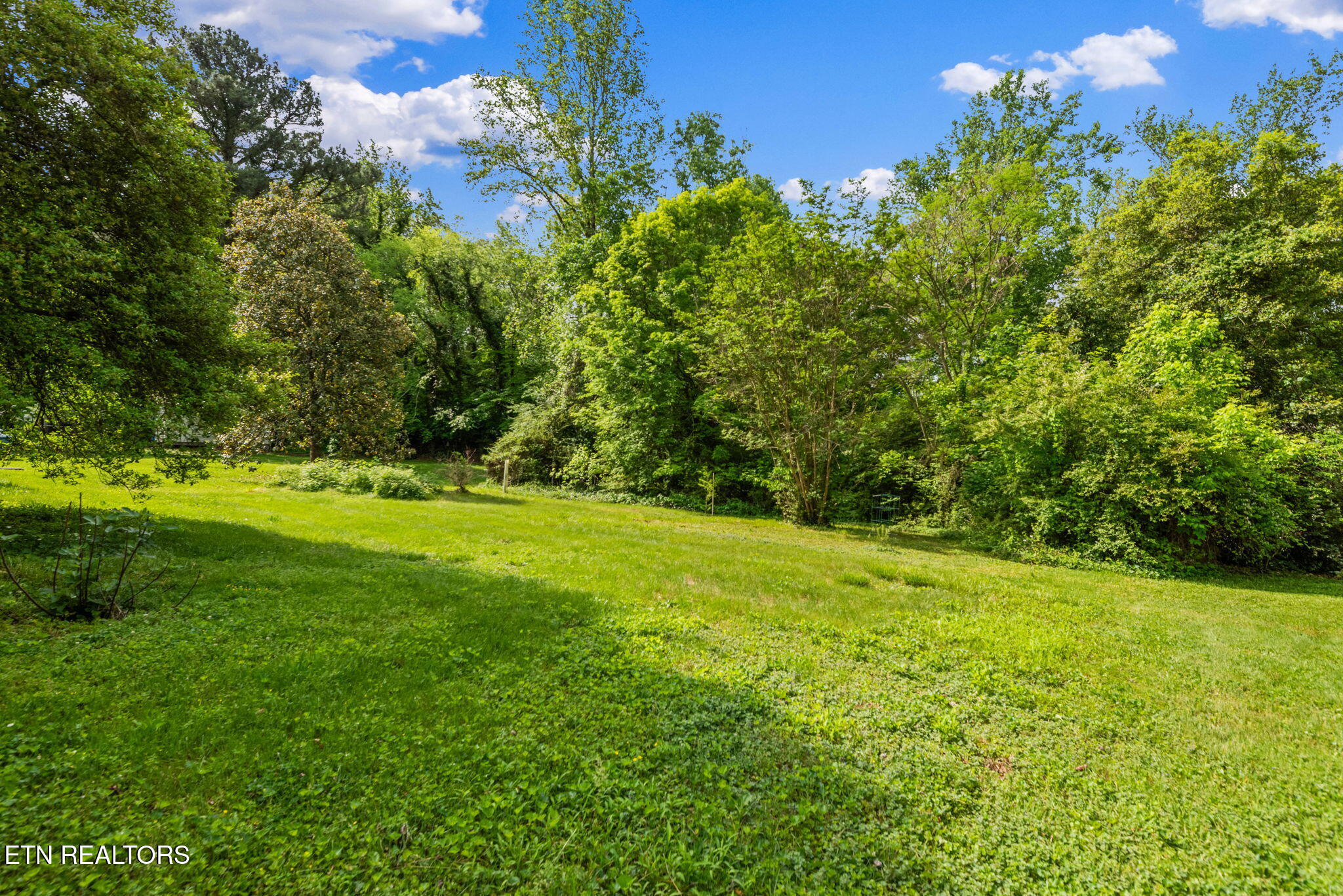 6109 Magazine Road Knoxville, TN 37920 - Photo 30 of 30 30 Backyard - Semi Private