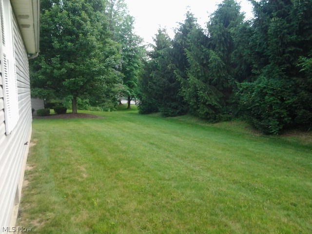 603 South Raccoon Road, Unit 7 Youngstown, OH 44515 - Photo 35 of 35 Gallery Image 35