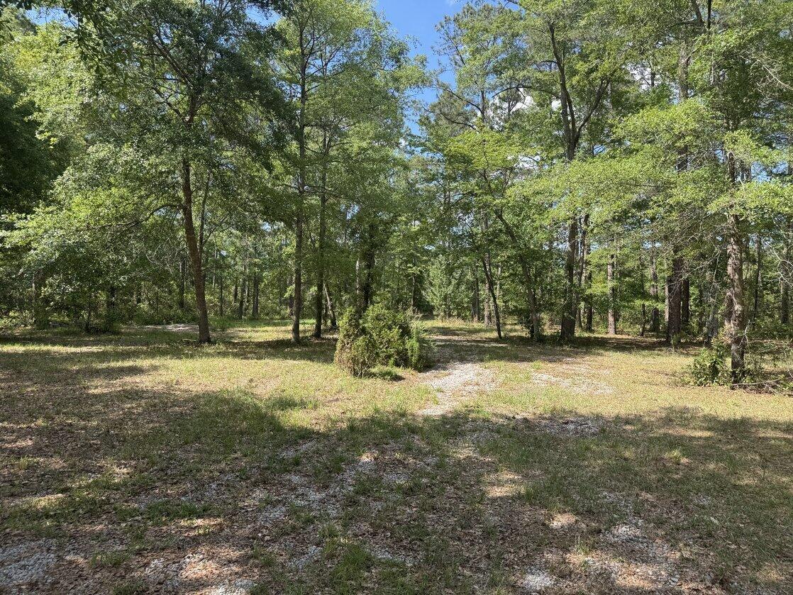 3452 Cypress Pond Road Walterboro, SC 29488 - Photo 3 of 9