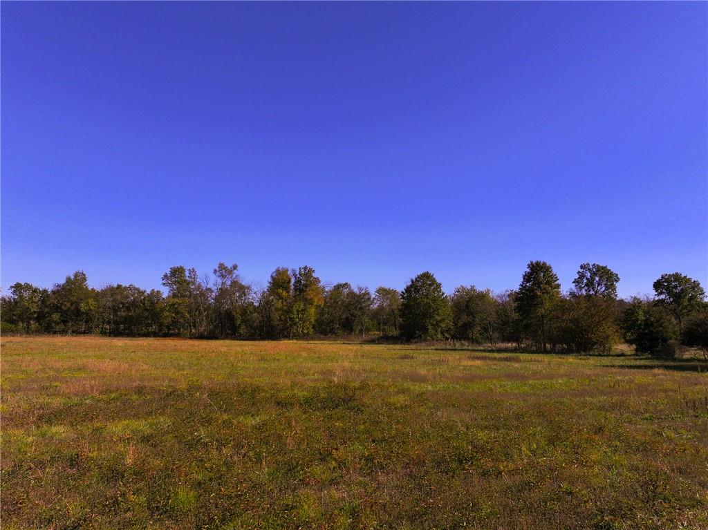 Tbd Southeast 10th Road Golden City, MO 64748 - Photo 11 of 48